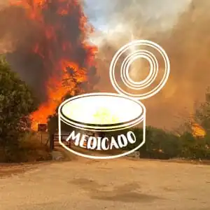 Ayuda a los animales afectados en los incendios de Chile.