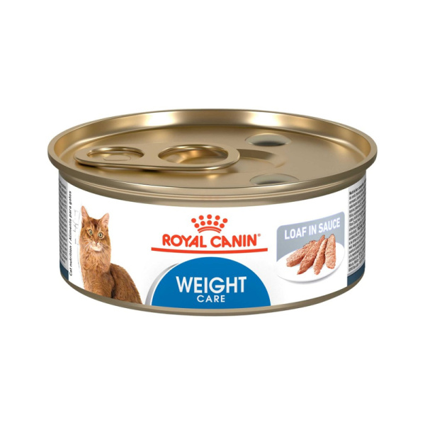 comida humeda gato royal canin weight care barrio animal
