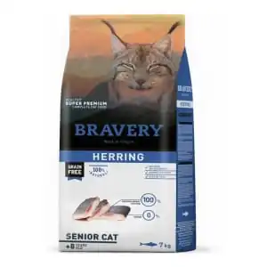 Bravery Herring Senior Cat