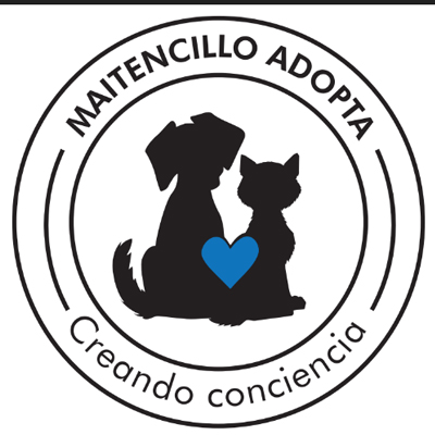 Maitencillo Adopta
